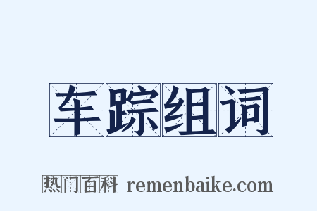 车踪组词是什么意思的图片